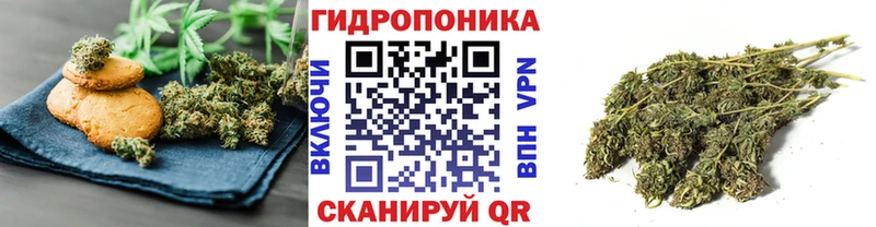 Cannafood марихуана  Петрозаводск 