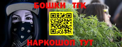 индика Заводоуковск