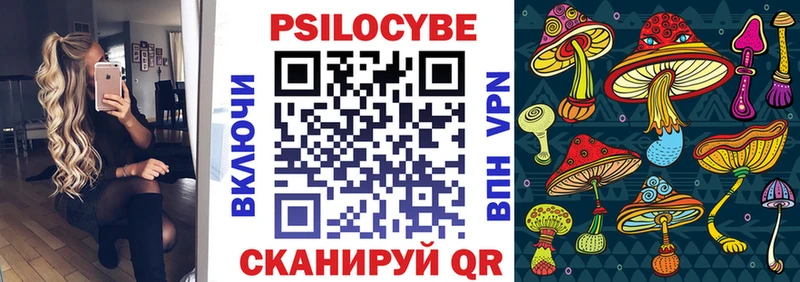 Псилоцибиновые грибы мицелий  Петрозаводск 