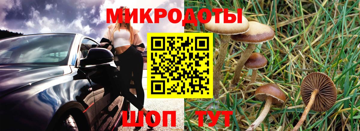 Псилоцибиновые грибы Magic Shrooms  Вход с VPN  Петрозаводск  Псилоцибиновые грибы Cubensis 