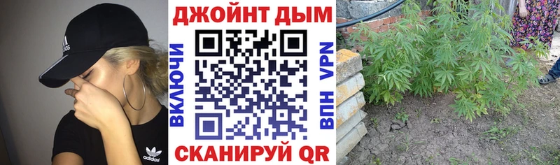Канабис ГИДРОПОН нарко площадка как зайти Петрозаводск